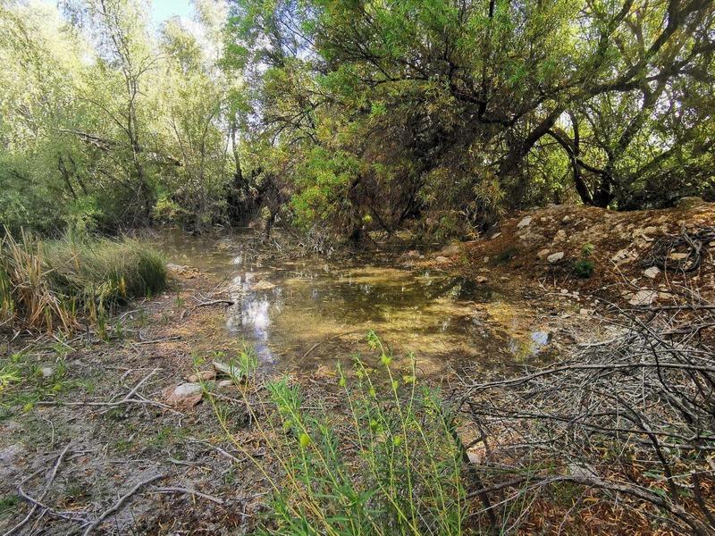 4 Bedroom Property for Sale in Griekwastad Northern Cape